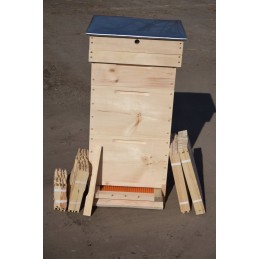 Wielkopolski gatvė iš Wejmutki pušies! pilna komplektacija!