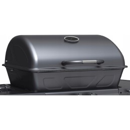 Dujinis grilis 2+1, 8kw