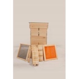 Wielkopolski gatvė iš Wejmutki pušies! pilna komplektacija!