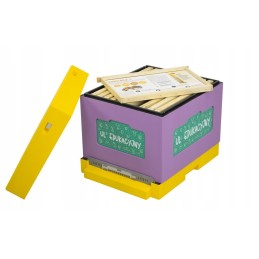 Lavinantis polistirolo avilys dažytas Dadant + 10 rėmelių rinkinys su mokymo lentomis iš abiejų pusių