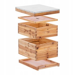 Langstroth avilys - 2 rėmeliai ir apatinė kasetė su įėjimo anga