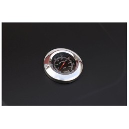 Sodo anglis kepsninė su ketaus grotelėmis ir termometru uždengta dideliu dangteliu