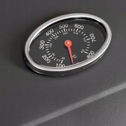 Anglies grilis | sodas | activa angular | ketaus grotelės | rakinamas | su dangteliu