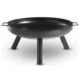 Didelis sodo židinys