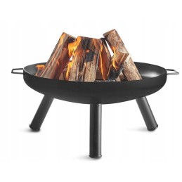 Didelis sodo židinys