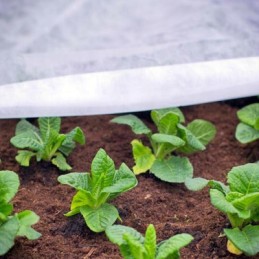 Agrotekstilė rudeninis žieminis baltas užvalkalas 50g 3,2m x 5m