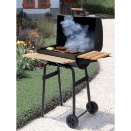 ⭐⭐Didelė sodo kepsninė su anglimis, nešiojamas kepsninė su rakinamomis lentynomis + termometras⭐⭐