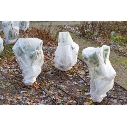 Agrotekstilė rudeninis žieminis baltas užvalkalas 50g 3,2m x 5m