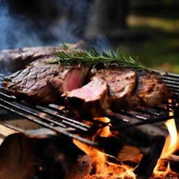 ⭐⭐Didelė sodo kepsninė su anglimis, nešiojamas kepsninė su rakinamomis lentynomis + termometras⭐⭐