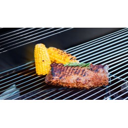 Sodo dujinis grilis 5kw Teesa bbq 2000 reduktorius