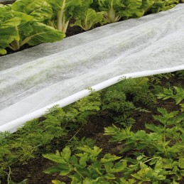 Balta agrotekstile 1,6x10m 17g/m geolia