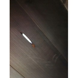 Dviejų kamerų medinė sodo rūkykla su kaminu