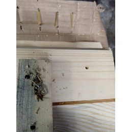 Dviejų kamerų rūkykla su kūrenamąja lentyna