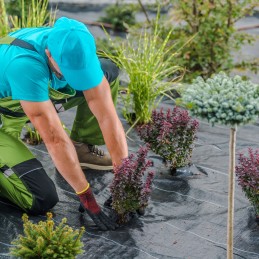 ☘️Agrotekstilės stiprus kilimėlis nuo piktžolių 1,1x10m 70g☘️