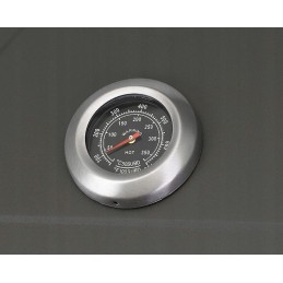 Naujausias anglies kepsninės modelis, skirtas kepti sode!