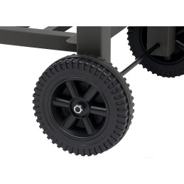 Naujausias anglies kepsninės modelis, skirtas kepti sode!