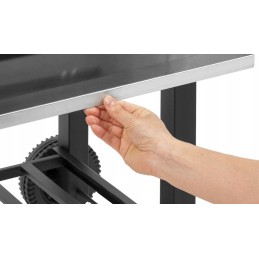 Naujausias anglies kepsninės modelis, skirtas kepti sode!