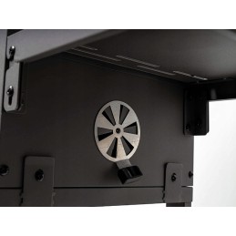 Naujausias anglies kepsninės modelis, skirtas kepti sode!