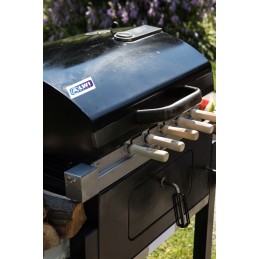 Komplektas iešmams kepti ant grotelių su elektrine pavara