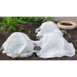 Balta žieminė agrotekstilė, kvėpuojanti, lengva, saugo augalus, 1,6x10m, 50g