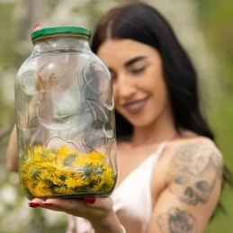 5l stiklainis + dangtelis