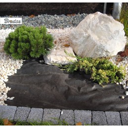 Agrotekstilė 50 nuo piktžolių 2,1 x 10 m bradas