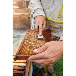 Nerūdijančio plieno bitininkystės kaltas 20 cm rėme