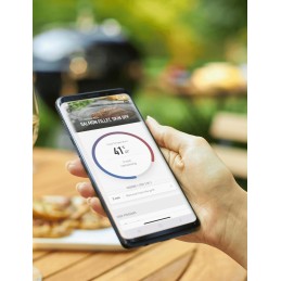 Weber connect smart 3202 grilio termometras