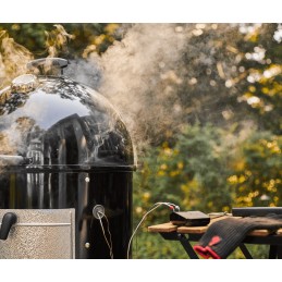 Weber connect smart 3202 grilio termometras