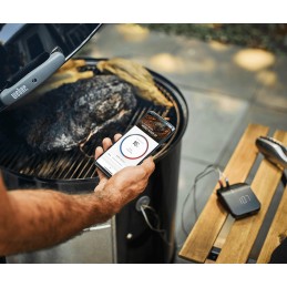 Weber connect smart 3202 grilio termometras