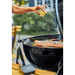 Weber connect smart 3202 grilio termometras