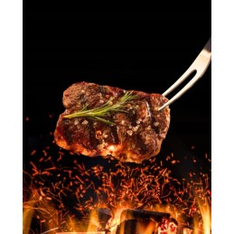 Didelės anglies kepsninės, ketaus, stabilios grotelės su ratukais ir lentynomis, dangtis