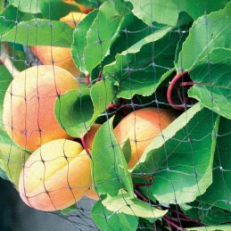 Didelis apsauginis tinklelis nuo paukščių, 4x10