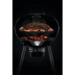 Napoleon premium anglies virdulio grilis 18', juodas