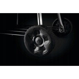 Napoleon premium anglies virdulio grilis 18', juodas