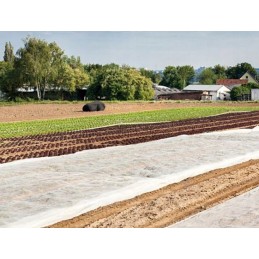 Spyruoklinė agrotekstilė, balta, 3,2 x 10 m