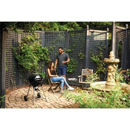 Napoleon NK18K anglis grilis 46 cm