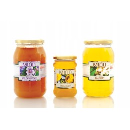 Goldenrod medaus etiketės (100 vnt) - e239