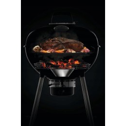 Napoleon premium anglies virdulio grilis 18', juodas