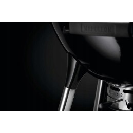 Napoleon premium anglies virdulio grilis 18', juodas