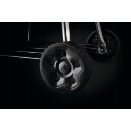 Napoleon premium anglies virdulio grilis 18', juodas