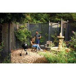 Napoleon NK18 sferinės anglies kepsninės