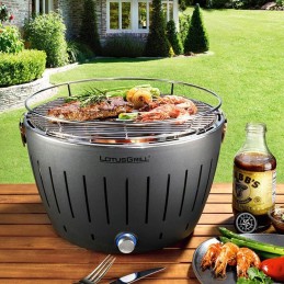 Bedūmių anglių grilis Lotus sodo grilis + krepšys + žnyplės įtrauktos