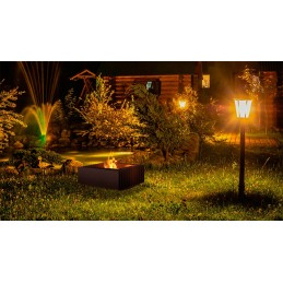 Erizo sodo židinys 55x22