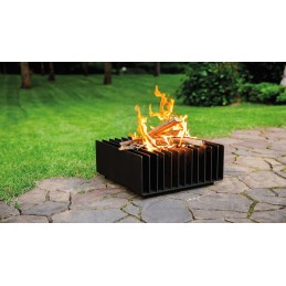 Erizo 50 sodo židinys