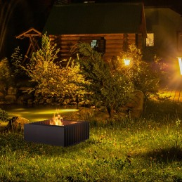 Erizo 50 sodo židinys