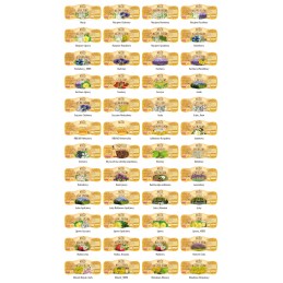 Etiketes personalizuojame nuo 500 vnt.