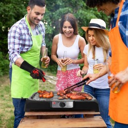 Elektrinis grilis balkonui, terasai, sodui, galia 2000 vatų