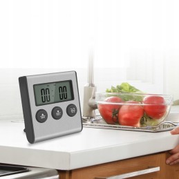 Skaitmeninis zondo termometras