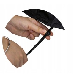 Dangtis sodo griliui